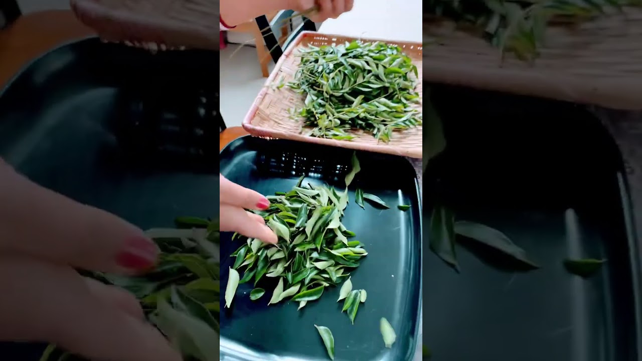 How to store curry leaves in the freezer