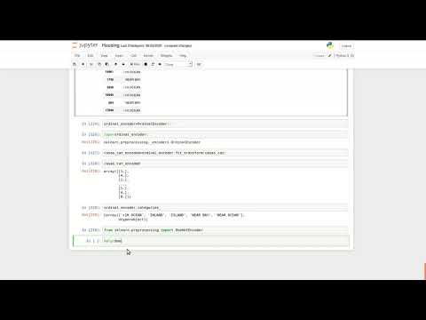 Clases útiles en python: OrdinalEncoder, OneHotEncoder
