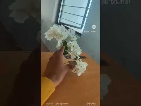 Pov: You are at UCESTH at JNTUH Campus #lifeatjntuh #jntuh #jntuhyderabad #jntu