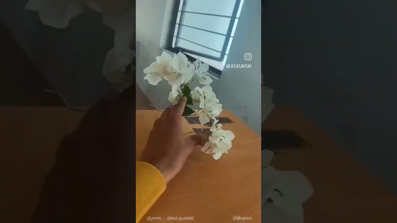 POV: Experiencing Life at UCESTH on JNTUH Campus