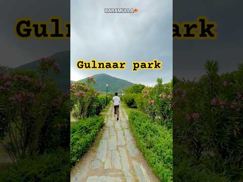 #reels #kashmir #baramulla #gulnar #jehlum #viralvideo #shorts #trending #mountains #india #love