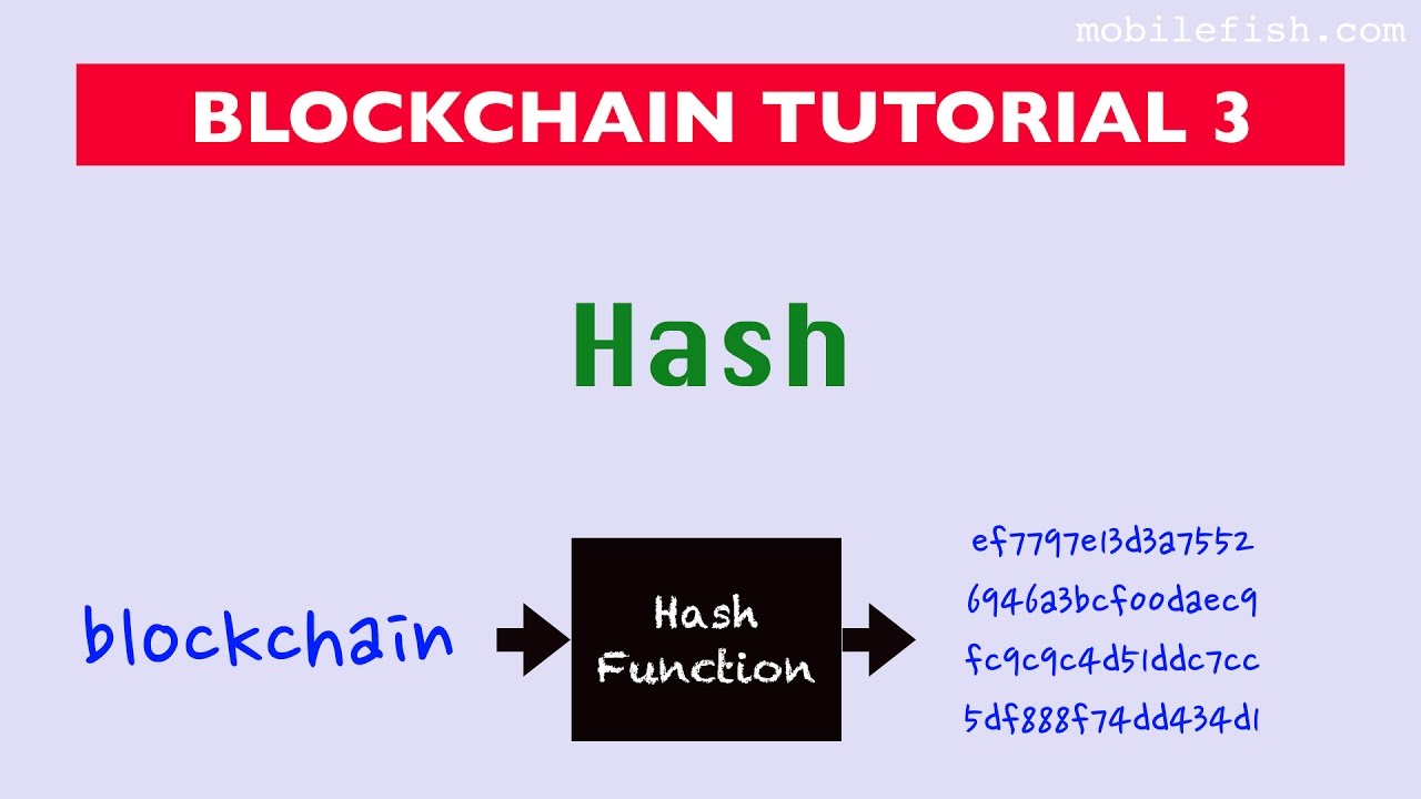 Blockchain Tutorial 3: Understanding Hashes π