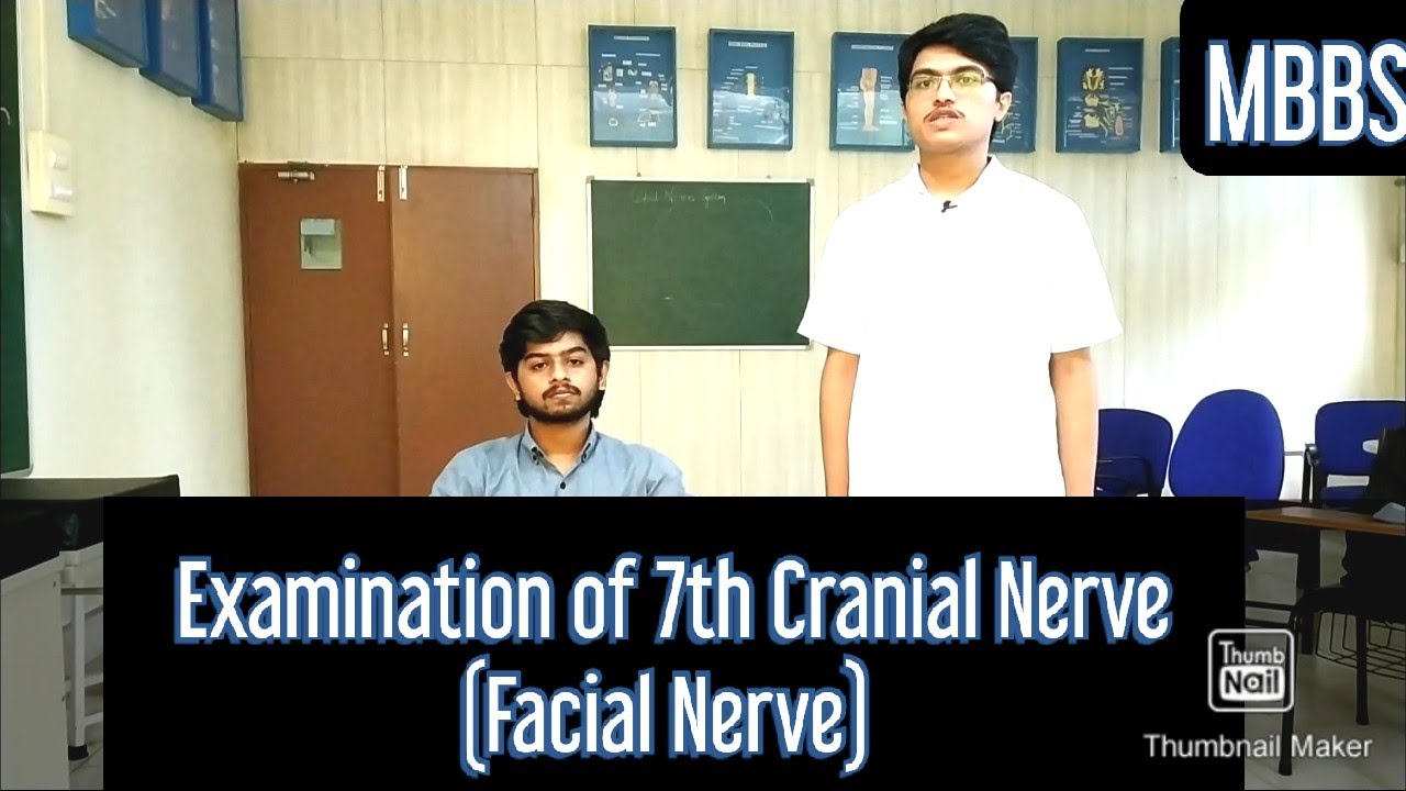 7th Cranial Nerve (Facial Nerve) Exam Guide | MUHS