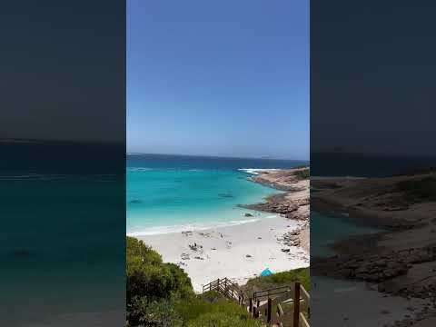 Can’t get enough of Australian beaches ☀️ #shorts