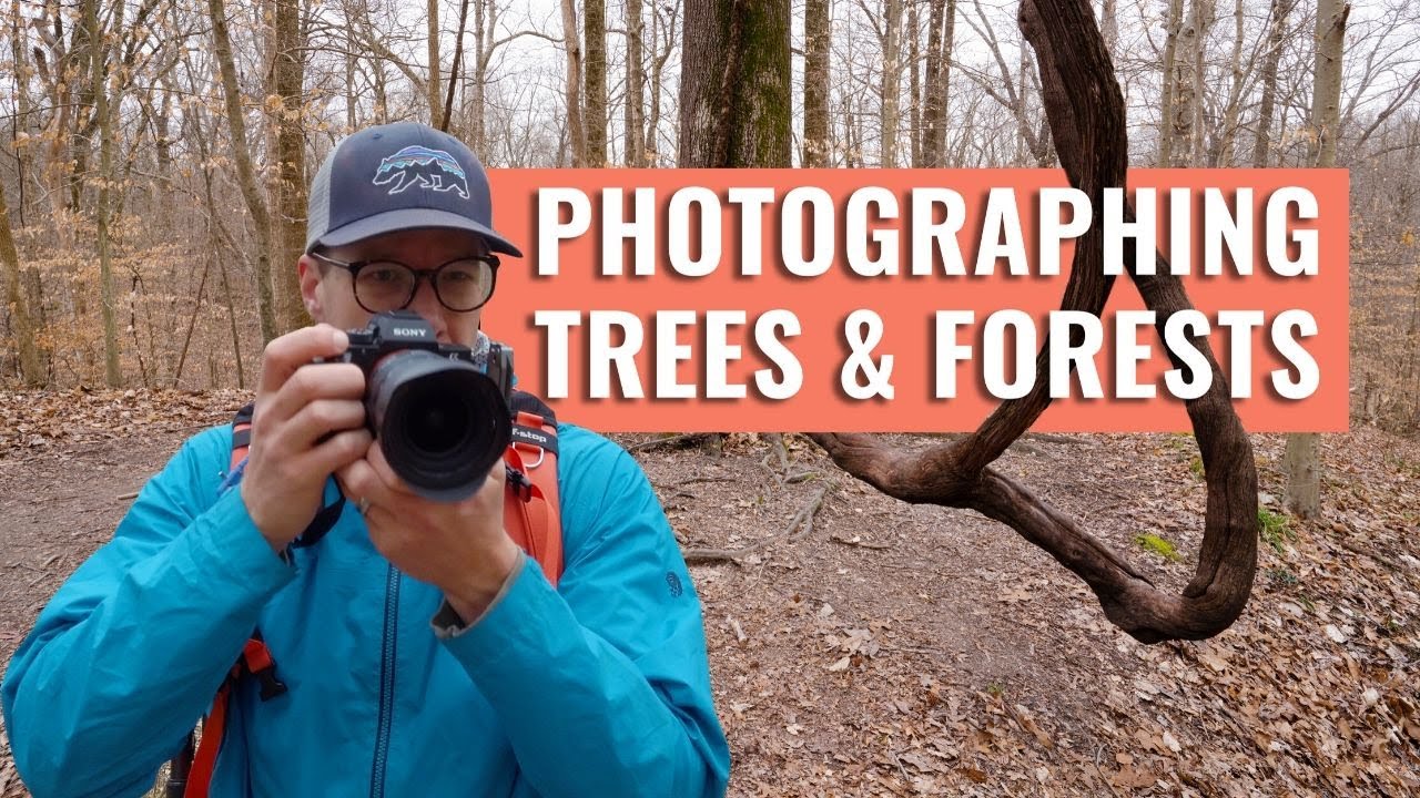 Landscape Photography of Trees & Forests 🌲