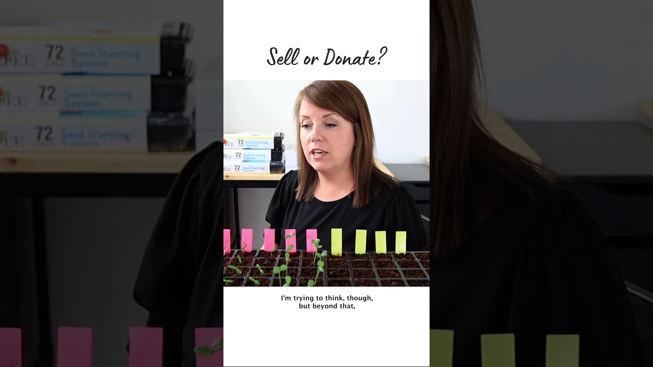 Sell or Donate? Your Decluttering Rules 🧹