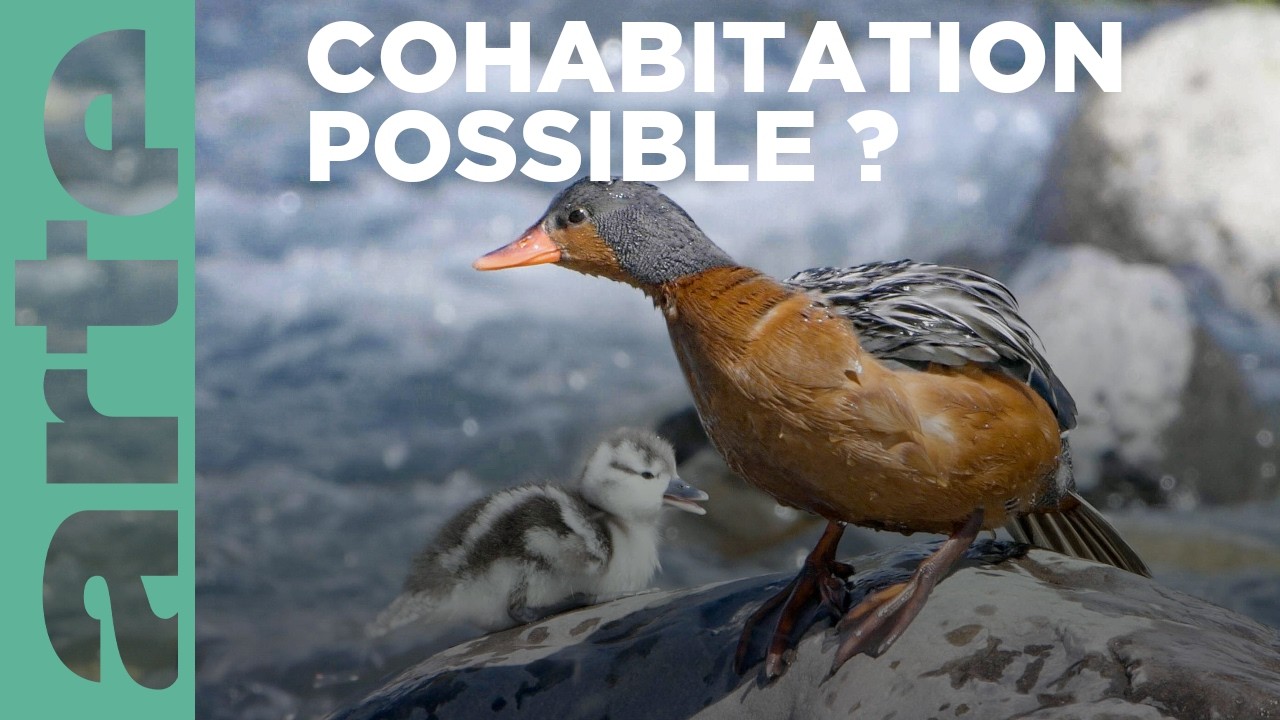 Torres del Paine, Joyau de la Patagonie 🌄