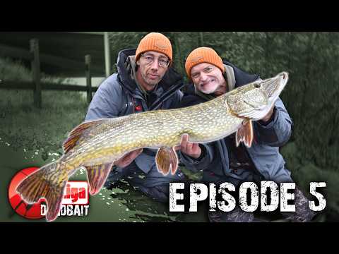 Eine Aufholjagd beginnt! 🔴 Profi Liga Deadbait, Episode 5