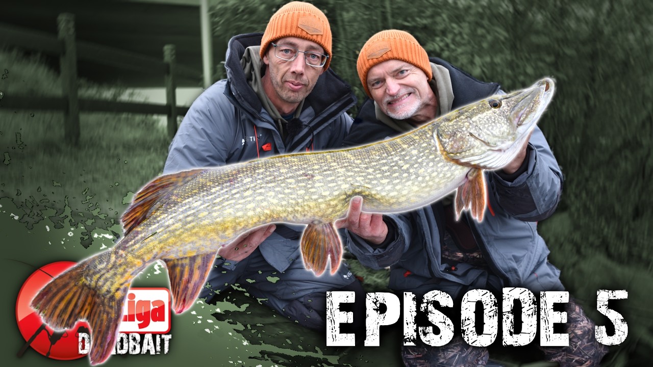 🔥 Spannender Abschluss der Profi Liga Deadbait – Episode 5 jetzt ansehen!