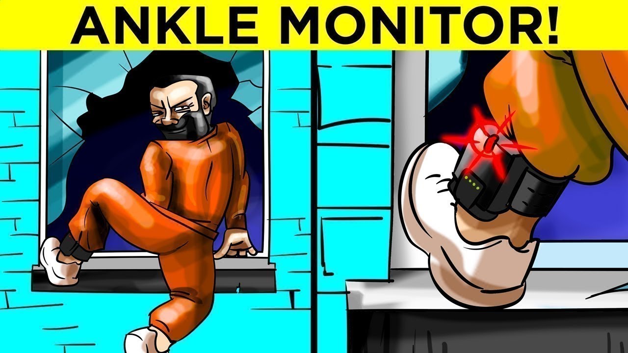 When Dumb Criminals Fail to Outsmart the Law 🚓