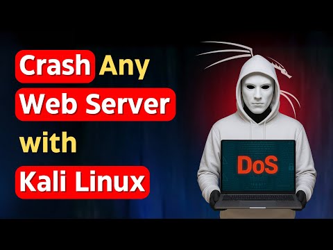 Understanding DoS Attacks and Their Impact on Web Servers Using Kali Linux