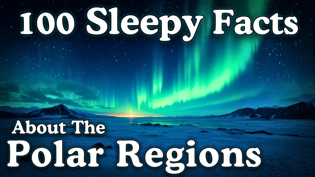 Relaxing Facts About the Polar Regions ❄️