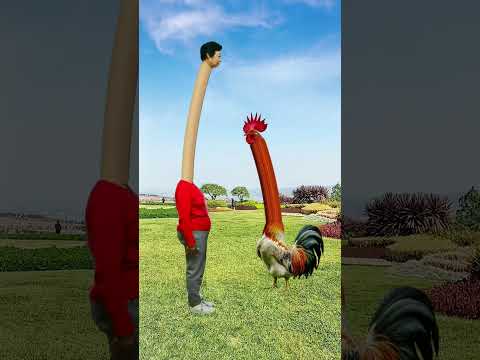 Beautiful juice source Beautiful juice source Beautiful chew