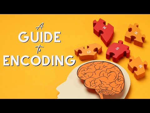 Understanding What Makes Content Memorable