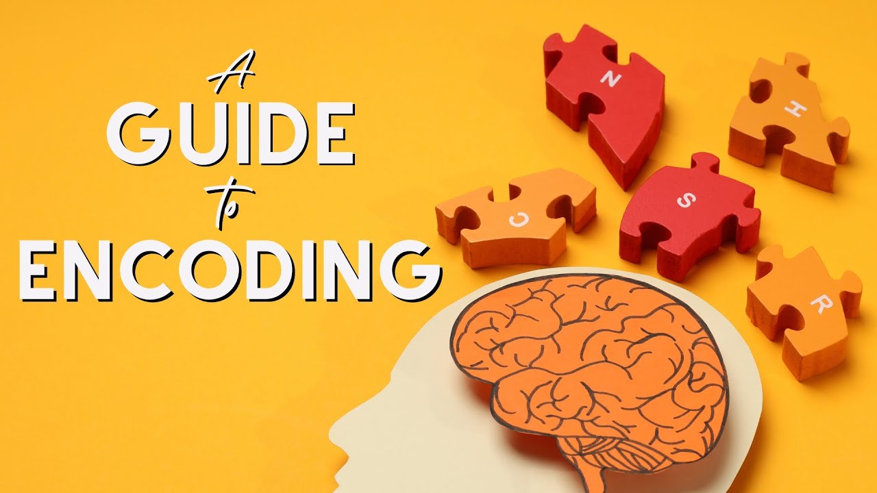 Understanding What Makes Content Memorable