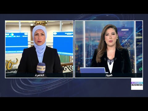 المحللون يتوقعون ضعف الجنيه المصري مقابل الدولار خلال العام المقبل بعد المكاسب التي حققها هذا العام