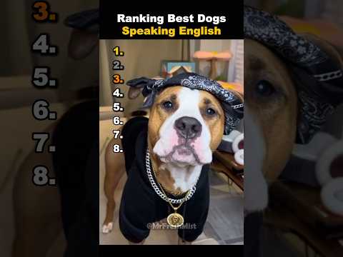 Ranking Best Dogs Speaking English