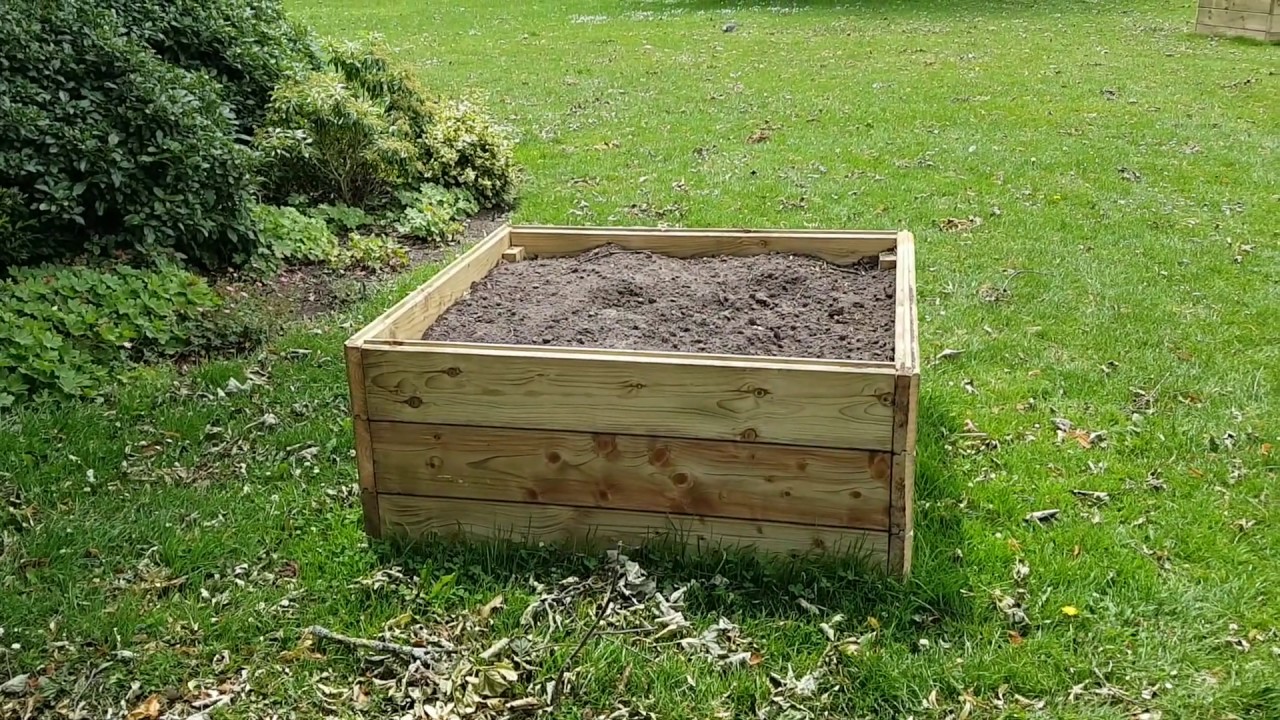 Discover Devonport Park: Insights from 'The Planters' June 2019 Event 🌳