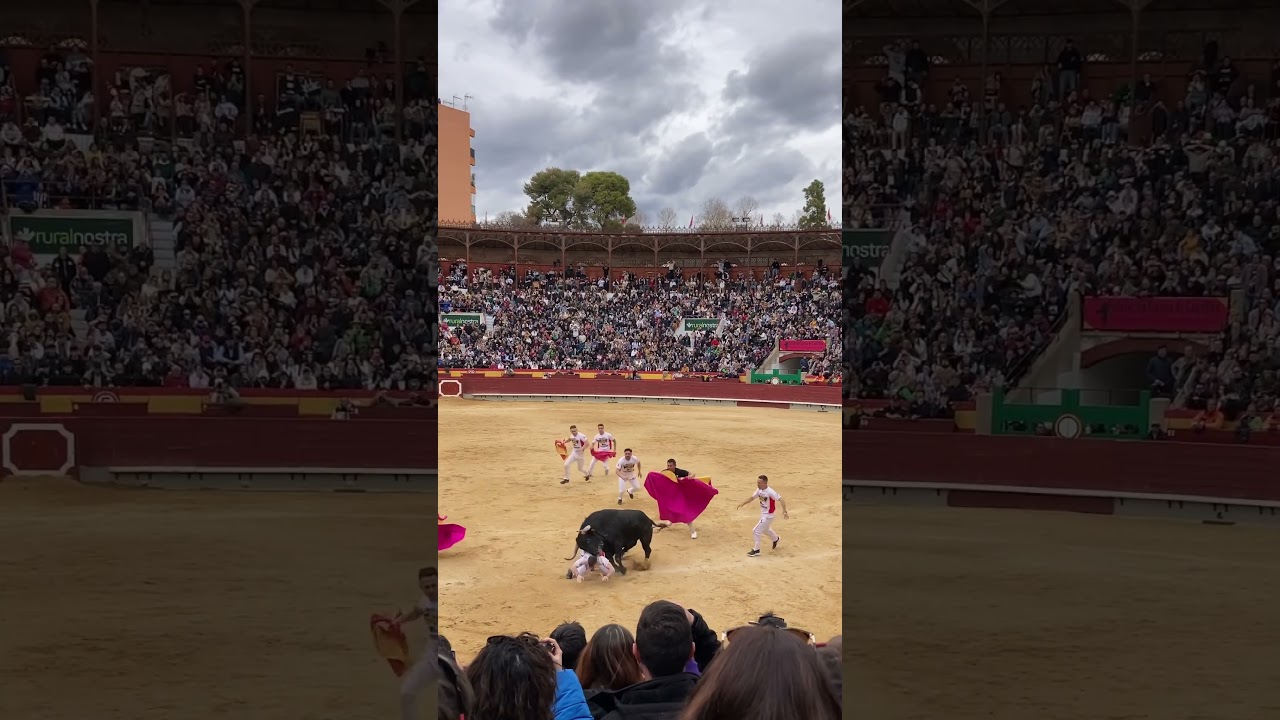 Mario Alcaide en concurso de recortadores en Castellón 2024 🐂