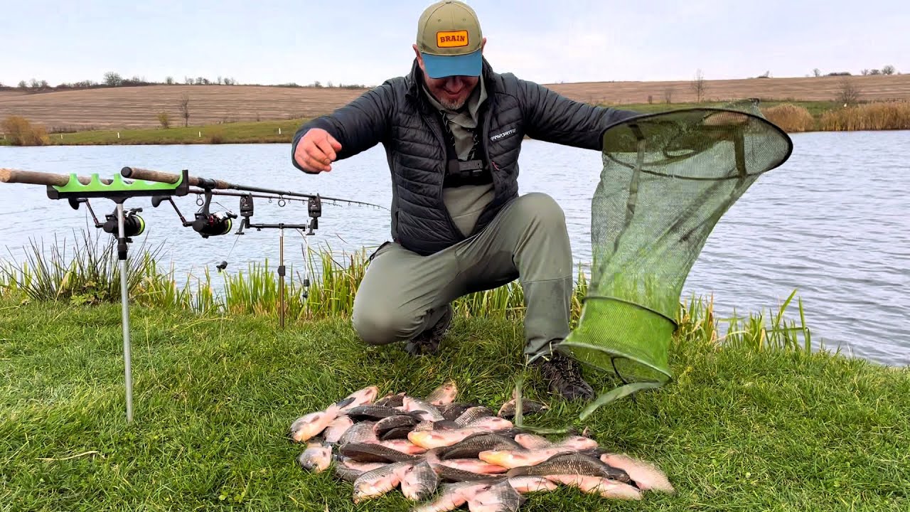 Карась у листопаді: що клює найкраще? 🎣