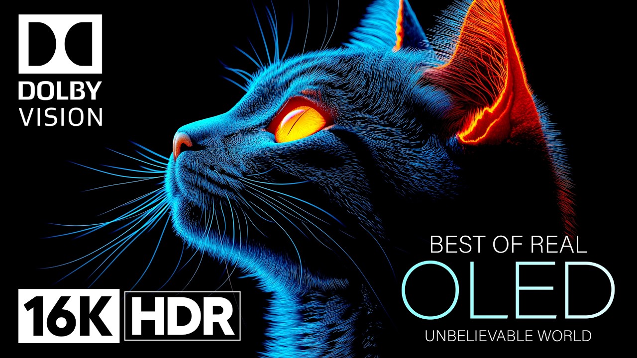 Mind-Blowing 16K HDR OLED Demo | 120fps Dolby Vision Ultra HD