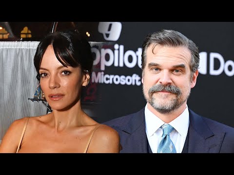 Lily Allen SHADES David Harbour With Scathing Songs on Divorce Album