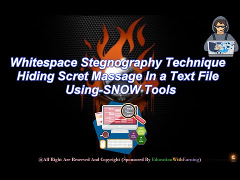How to hide data by Snow || Whitespace Steganography