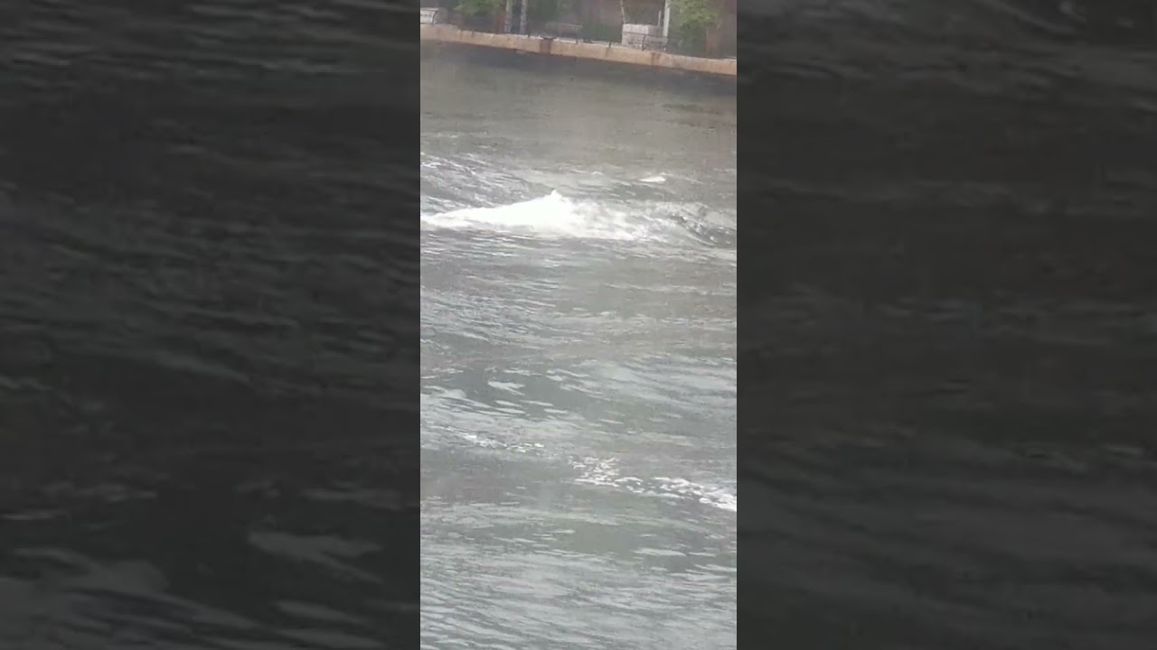 Ships 51424(3) Overview