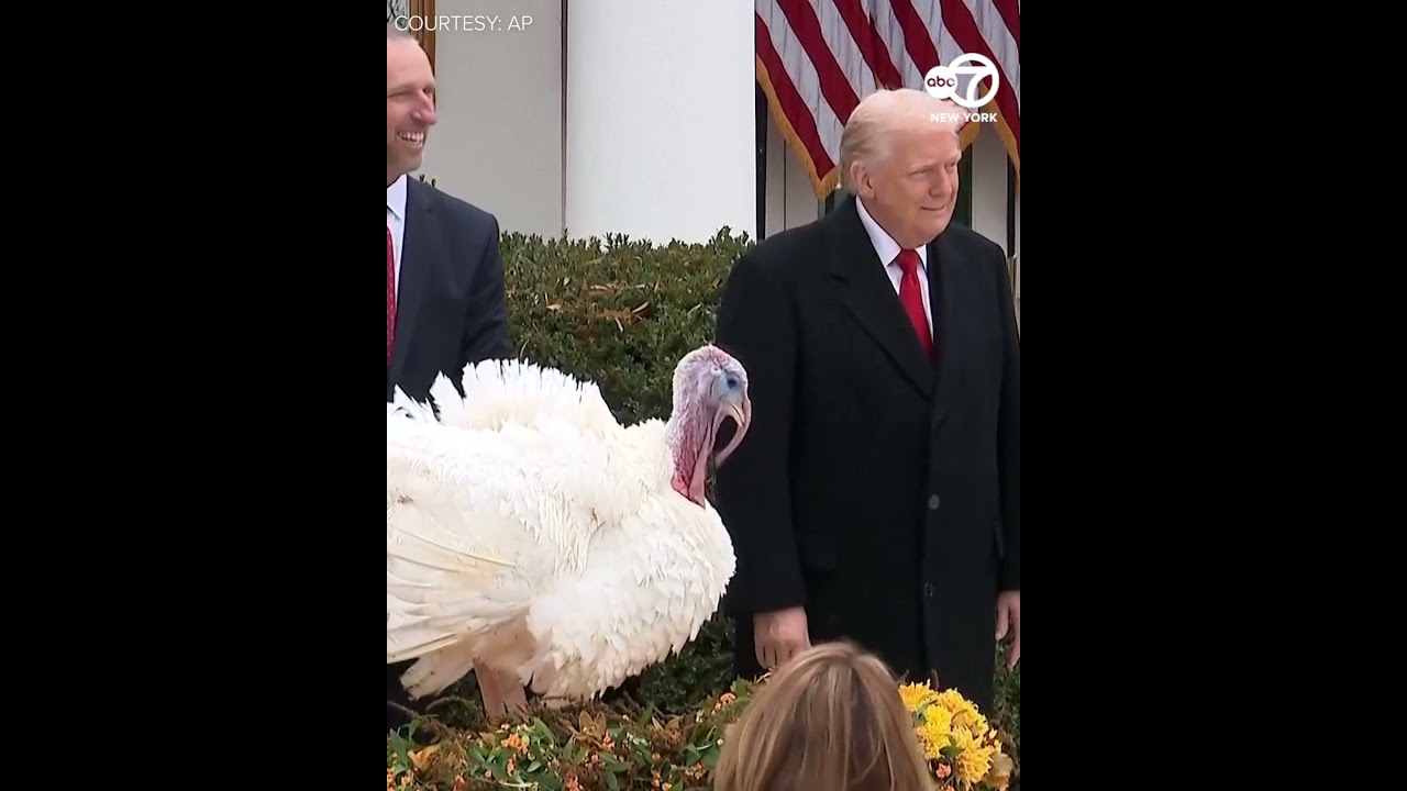 Trump Pardons Turkeys at White House Thanksgiving 🦃