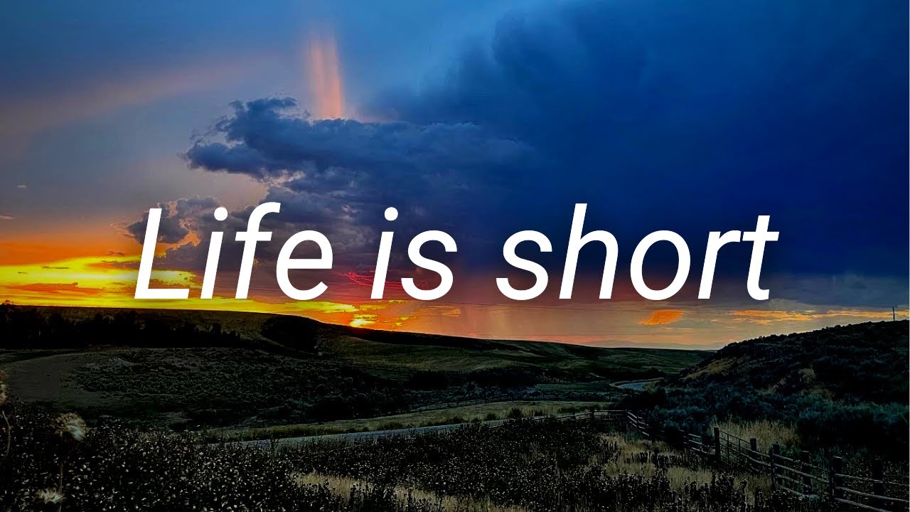 Life's Short Journey 🌱