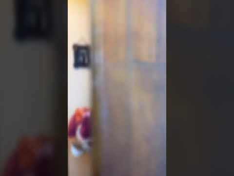 Mi Papá Me Llamó C0ND0N 😔 | Fabru Blacutt