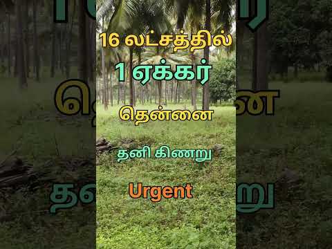 1 ஏக்கர் வெறும் 16 லட்சத்தில் விற்பனைக்கு Sold Out* #lowbudget  #farm #shorts #tamilnadu  #pollachi