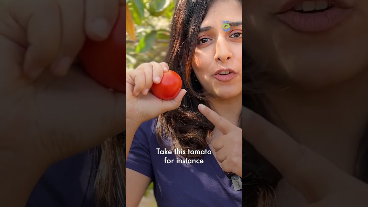 Farmizen: India's Organic Fruit & Veg Delivery 🍏