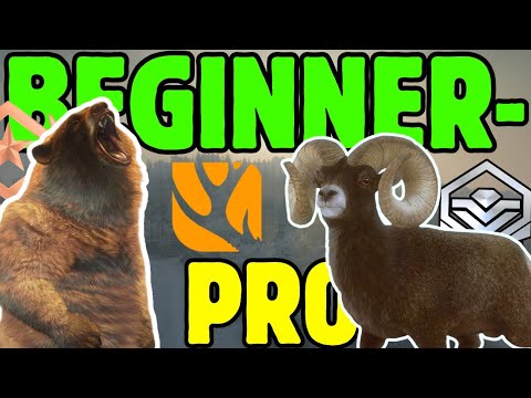 Top 5 Beginner Tips for theHunter: Call of the Wild 🎯