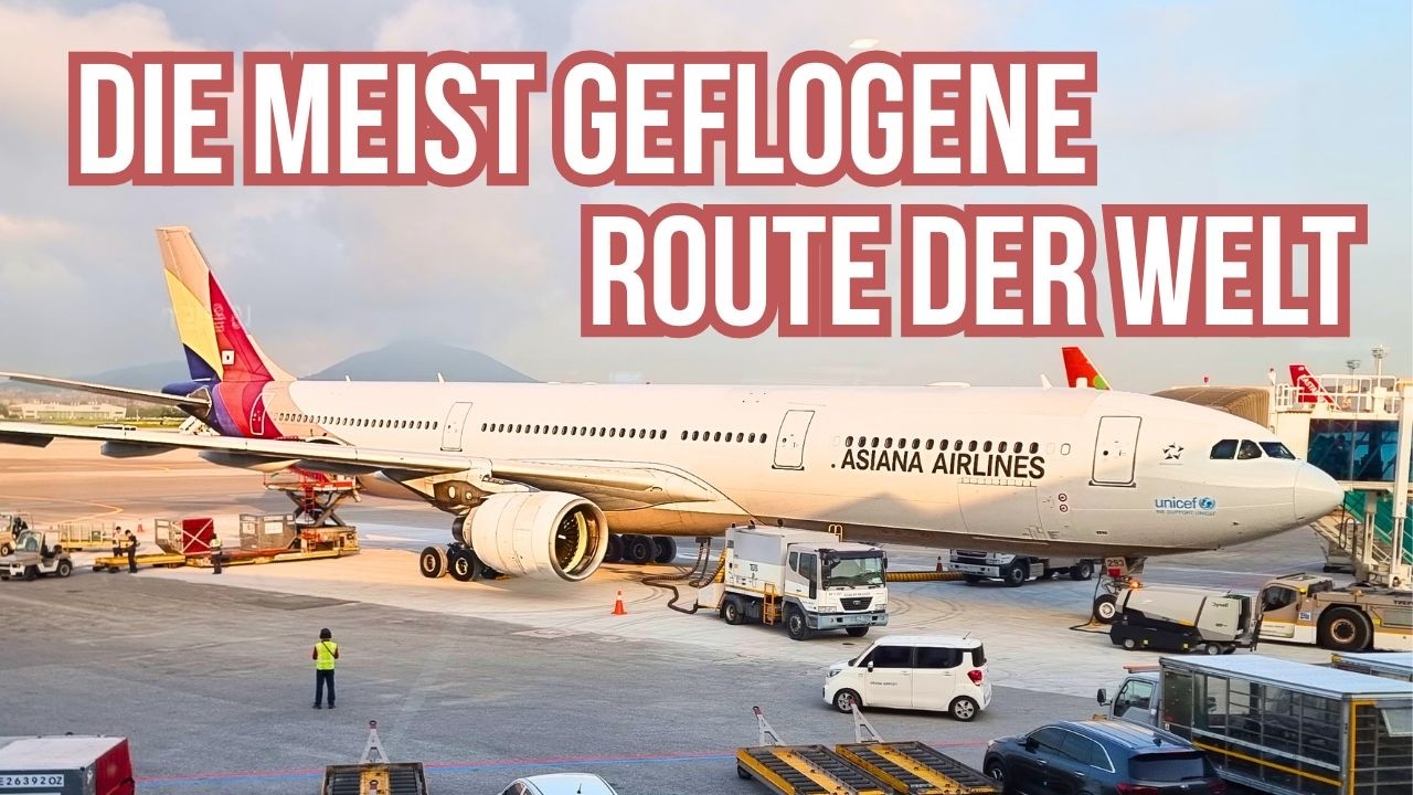 Asiana A330 Business Class auf der weltweit beliebtesten Route ✈️