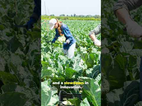 2026 Immigration Policy Impact #yourvisaguy #b1b2visa #immigrationvisa