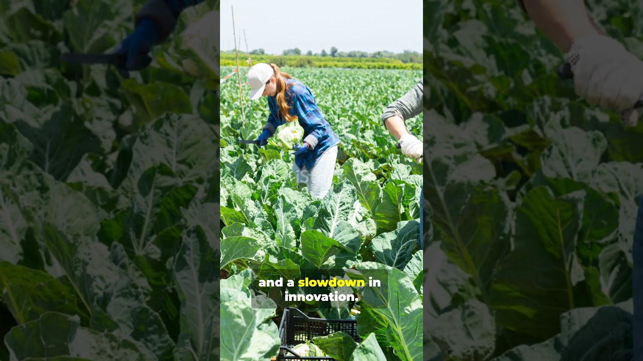 2026 Immigration Policy Changes: What They Mean for Families & Workers 🇺🇸