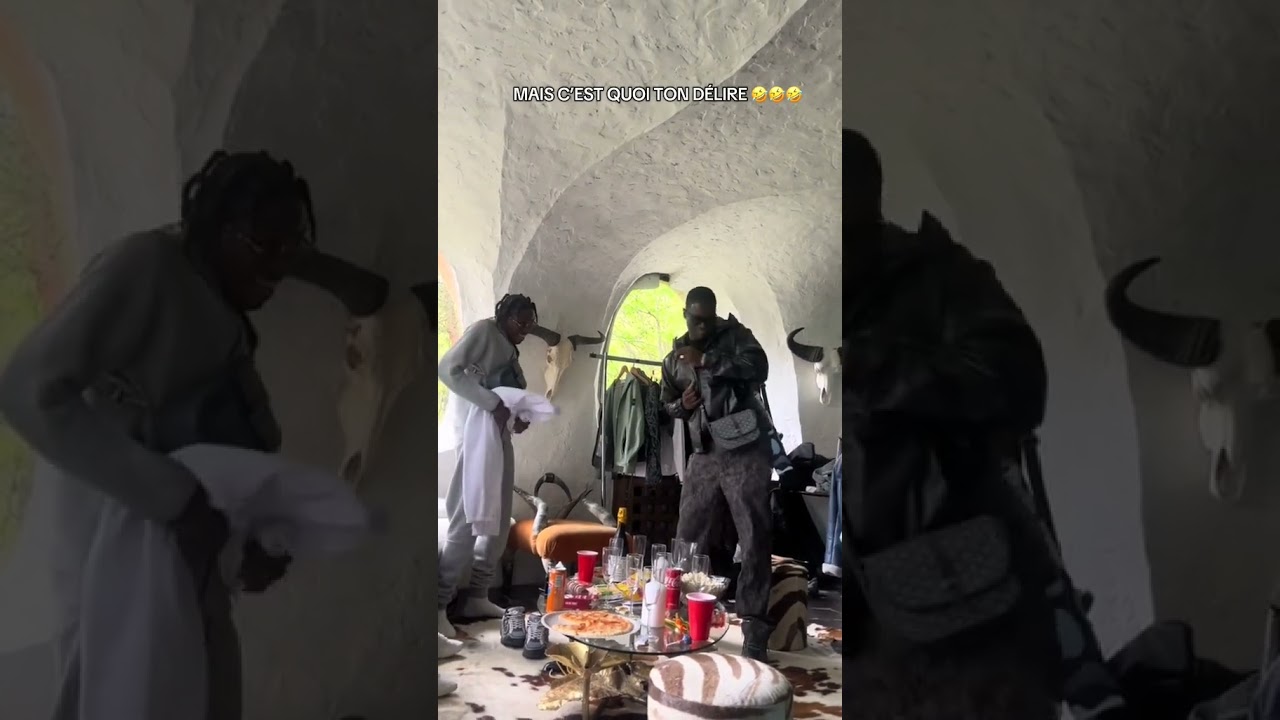 Ils sont ingérables ! 😂 Découvrez leurs aventures hilarantes