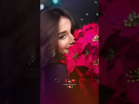 ❤️Old is gold whatsapp status✨️Old song status | 90s song status⚘️| Old Bollywood song status #short