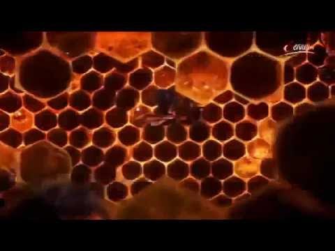 Der Code - Die Entschlüsselung der Welt - Teil 1- Zahlen - deutsch ★Dokumentarfilm Doku HD