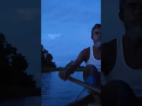 এমনো দিনে তারে বলা যায়