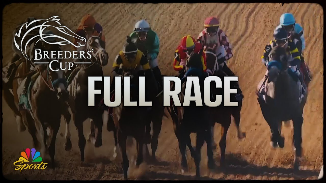 Breeders' Cup 2025 Juvenile Fillies Race | NBC Sports