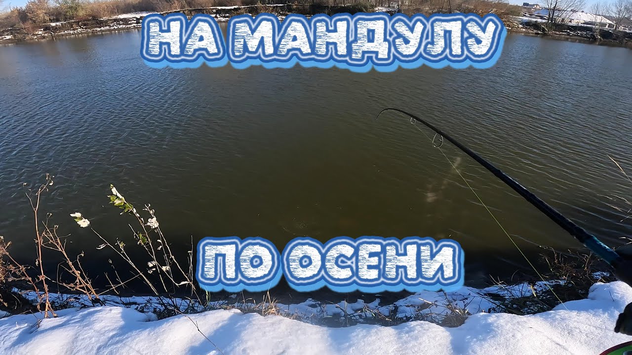 Поймай щуку за 1000 ₽! Новосибирская рыбалка 🐟