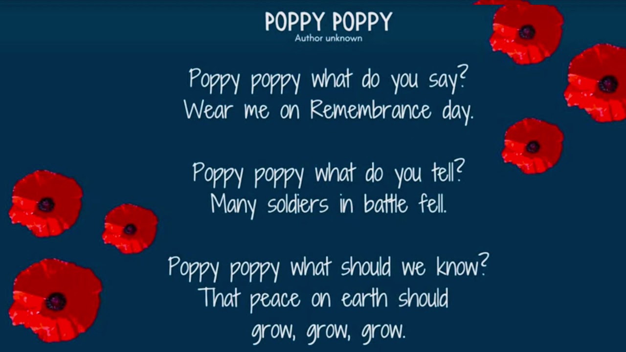 Remembrance Day Poem | Poppy Tribute 🌺