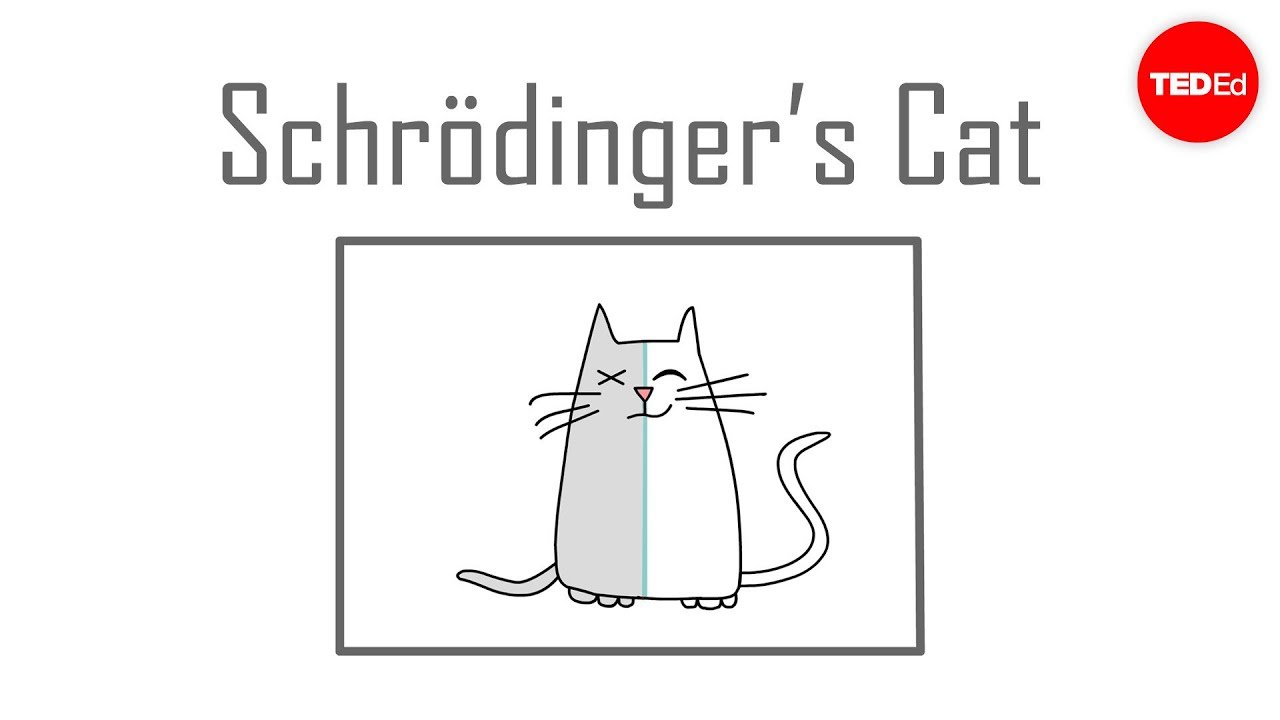 Schrödinger’s Cat Explained: The Fascinating Quantum Thought Experiment 🐱
