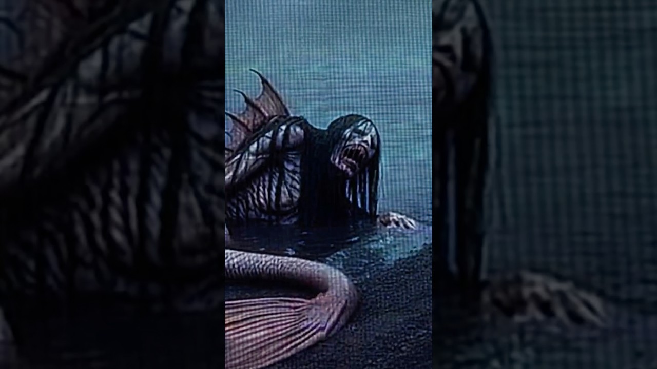 Fisherman Films Shocking Mermaid Encounter 🌊