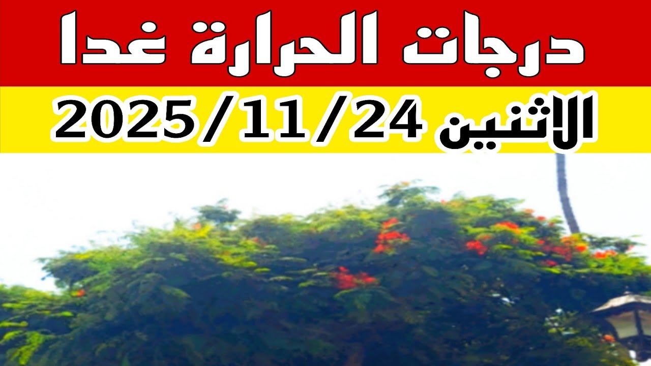 درجات الحرارة غداً الاثنين 24 نوفمبر ❄️