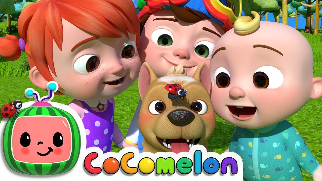Help Find Bingo! πΆ CoComelon's Fun Nursery Rhyme Adventure