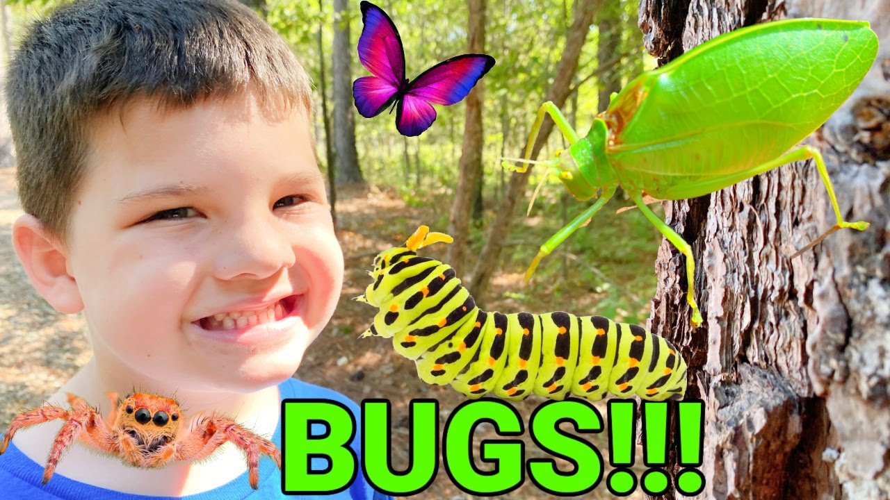 Caleb & Mommy's Exciting Bug Hunt in the Woods 🐞 | Fun Outdoor Adventure for Kids