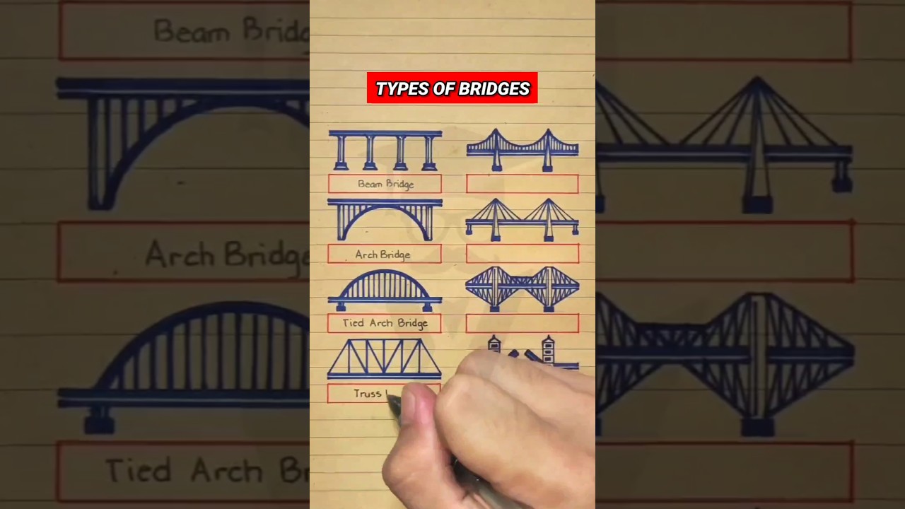 Explore Various Types of Bridges 🌉